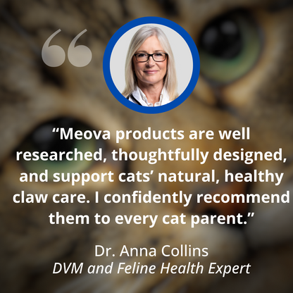 Meova™ Adhesive Scratch Pad